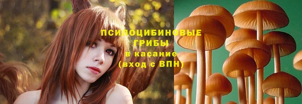 герыч Вязьма
