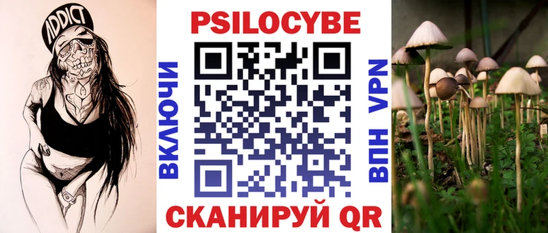 цены   мега ССЫЛКА  Галлюциногенные грибы Psilocybe  Тольятти 